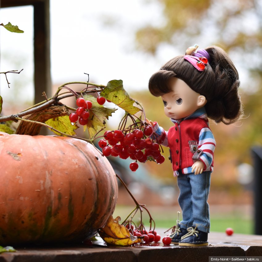 Осенний уют — Домашние коллекции кукол: фото собраний