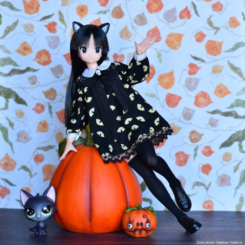 Черная кошка, которая приносит удачу