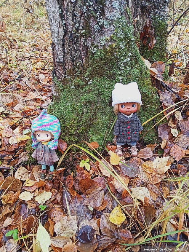 Осенние зарисовки...Дождливое (фото 2)