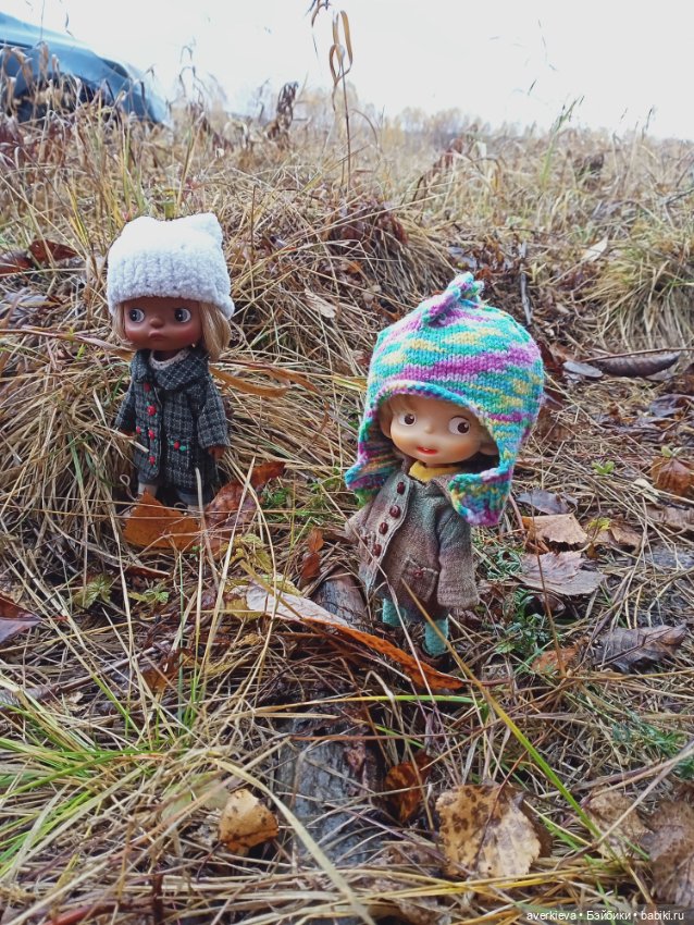 Осенние зарисовки...Дождливое (фото 7)