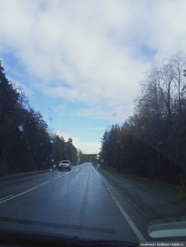 Осенние зарисовки...Дождливое