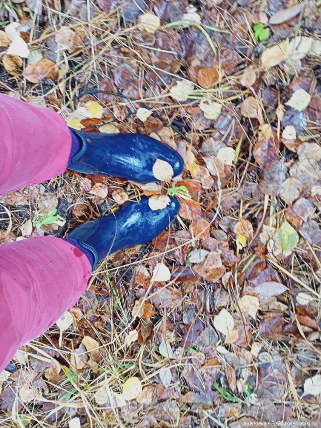 Осенние зарисовки...Дождливое