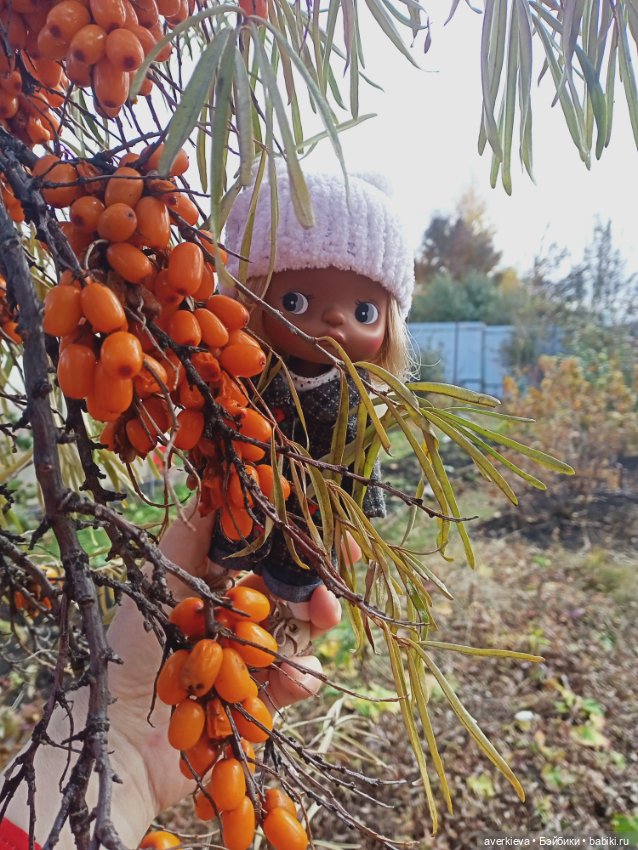 Юлька ...Малышка пуговка — Куклы Holala (Холала) от Jenny Fairytown: Pipita