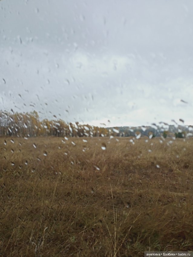 Осенние зарисовки...Дождливое (фото 10)