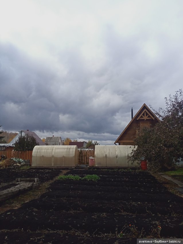 Осенние зарисовки...Дождливое