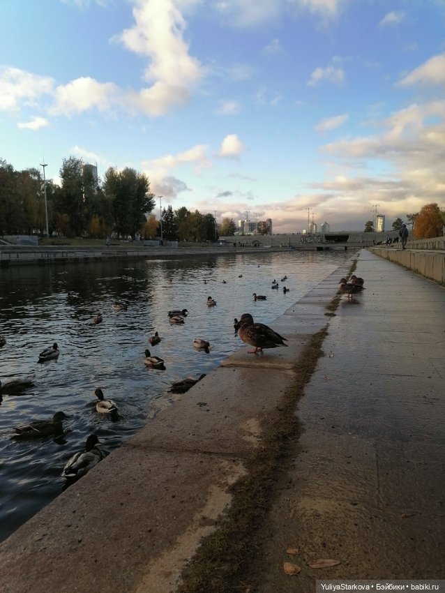 Новый друг — Куклы Rosemarie Anna Muller (Мюллер): Вихтели (Wichtel)