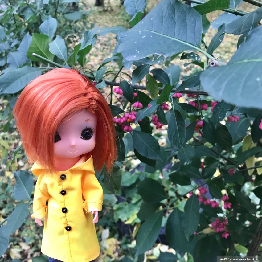 Лиза от Kamar. Осенняя прогулка (фото 5)