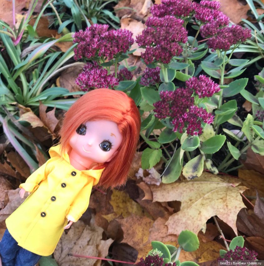 Лиза от Kamar. Осенняя прогулка (фото 6)