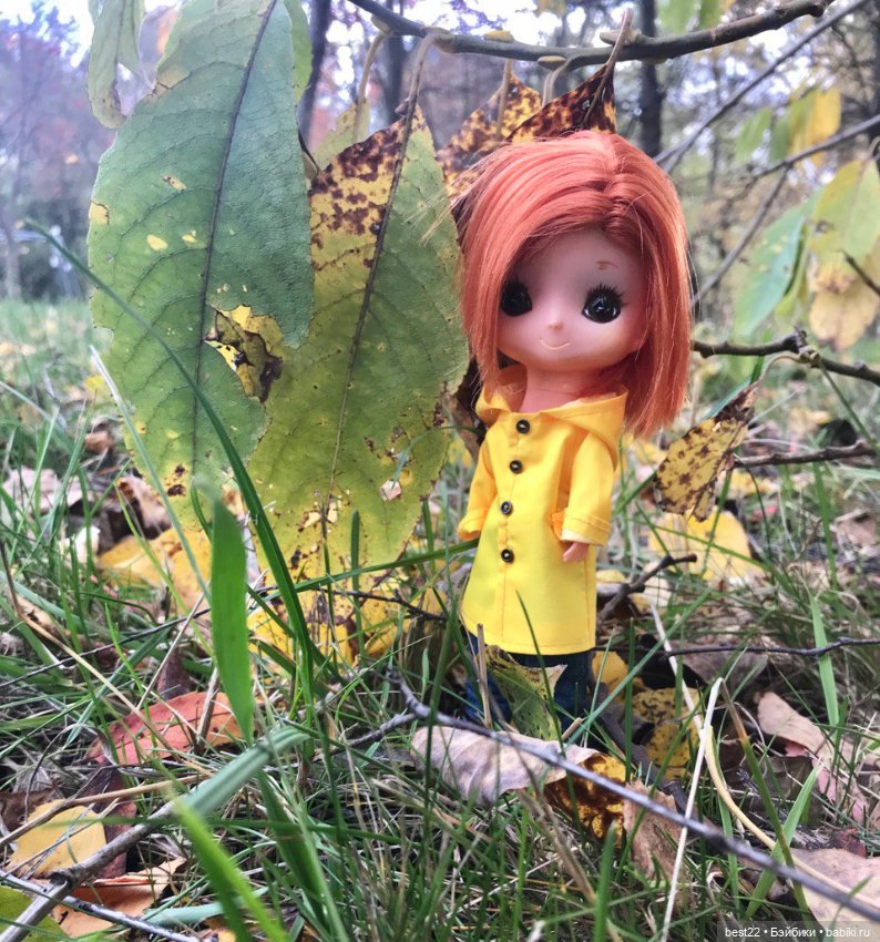 Лиза от Kamar. Осенняя прогулка (фото 3)