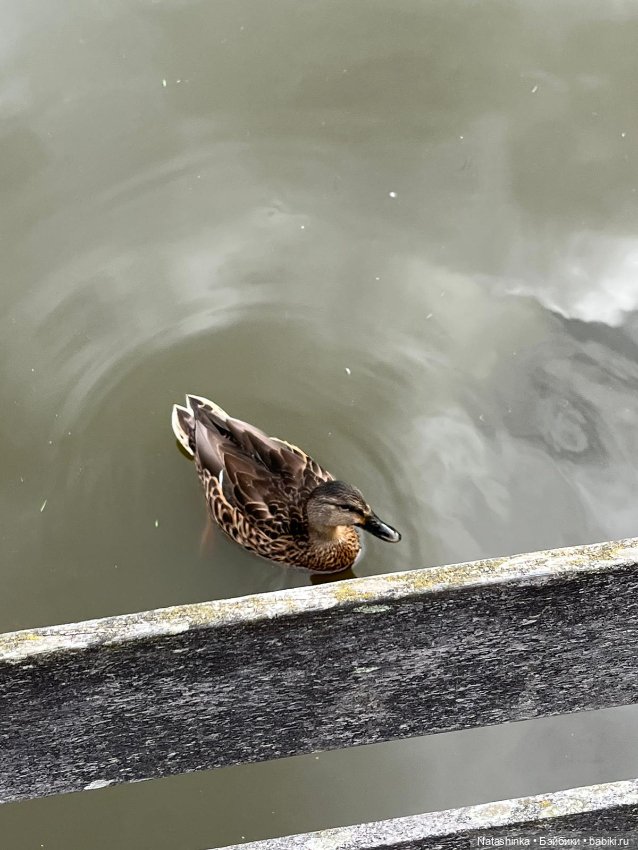 Fashion Dolls 412 — Туризм и путешествия: фотоотчеты из поездок