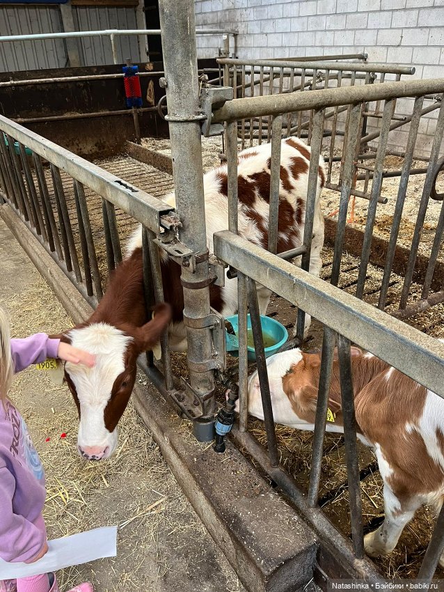 Fashion Dolls 412 — Туризм и путешествия: фотоотчеты из поездок