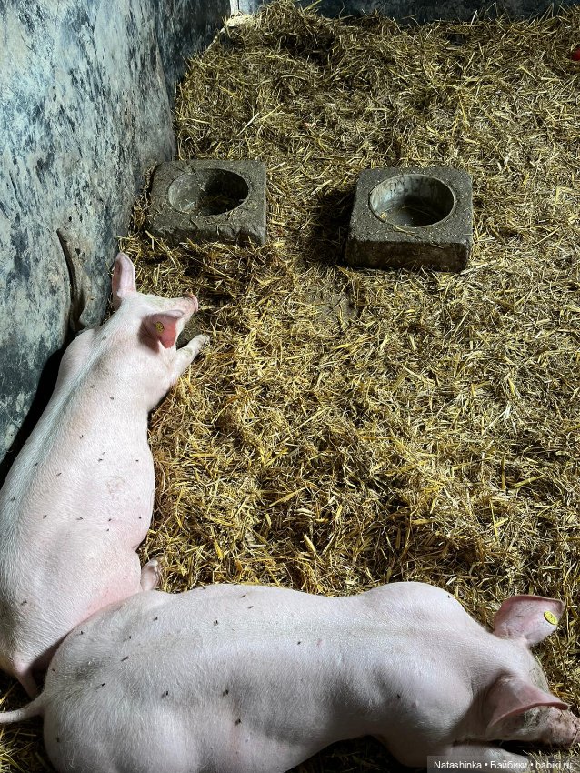 Fashion Dolls 412 — Туризм и путешествия: фотоотчеты из поездок