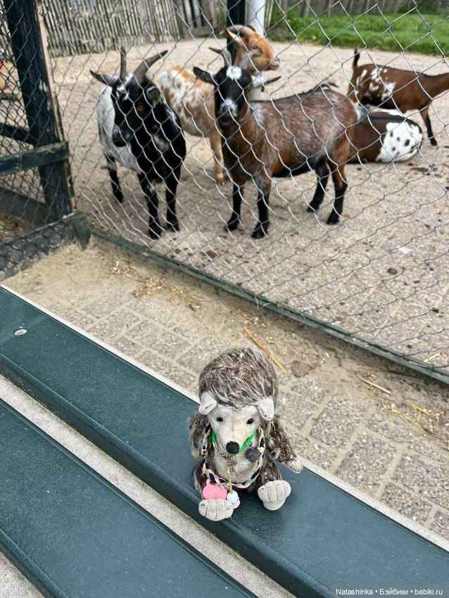 Fashion Dolls 412 — Туризм и путешествия: фотоотчеты из поездок