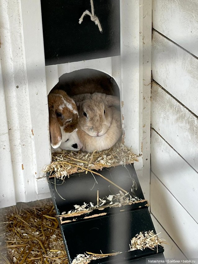 Fashion Dolls 412 — Туризм и путешествия: фотоотчеты из поездок