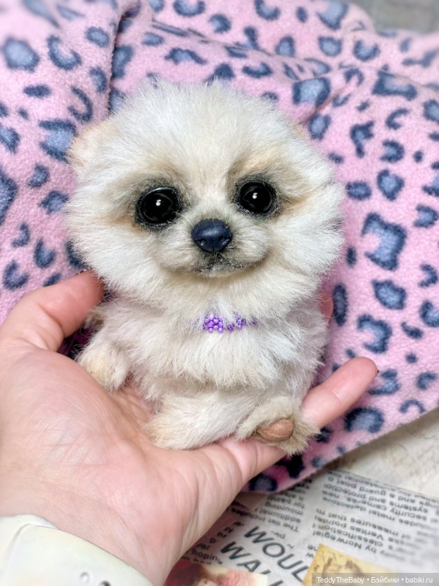 Olby 🐶 — Реалистичные игрушки и звери (Натюр): собаки (фото 6)