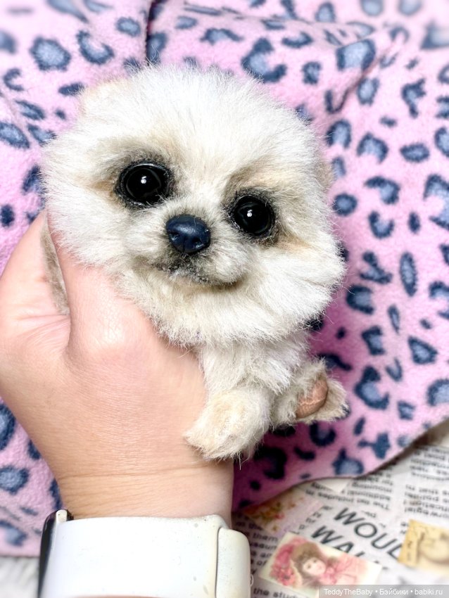 Olby 🐶 — Реалистичные игрушки и звери (Натюр): собаки (фото 9)