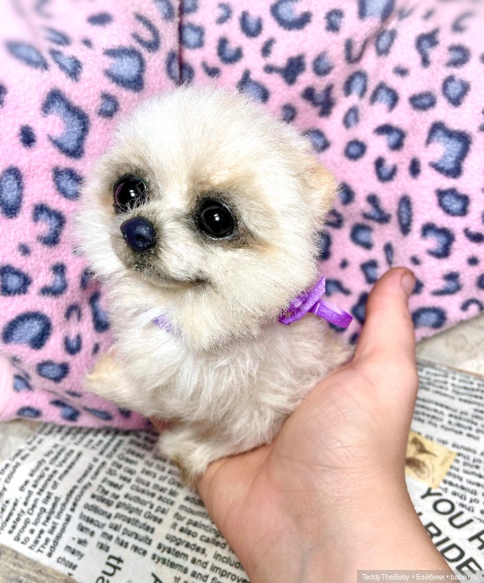 Olby 🐶 — Реалистичные игрушки и звери (Натюр): собаки