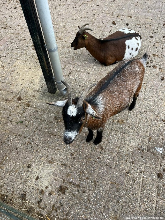 Fashion Dolls 412 — Туризм и путешествия: фотоотчеты из поездок