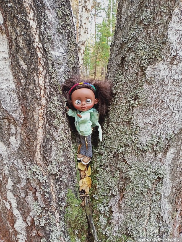 Уж небо осенью дышало — Игровые куклы разных производителей (Разное): редкие бренды