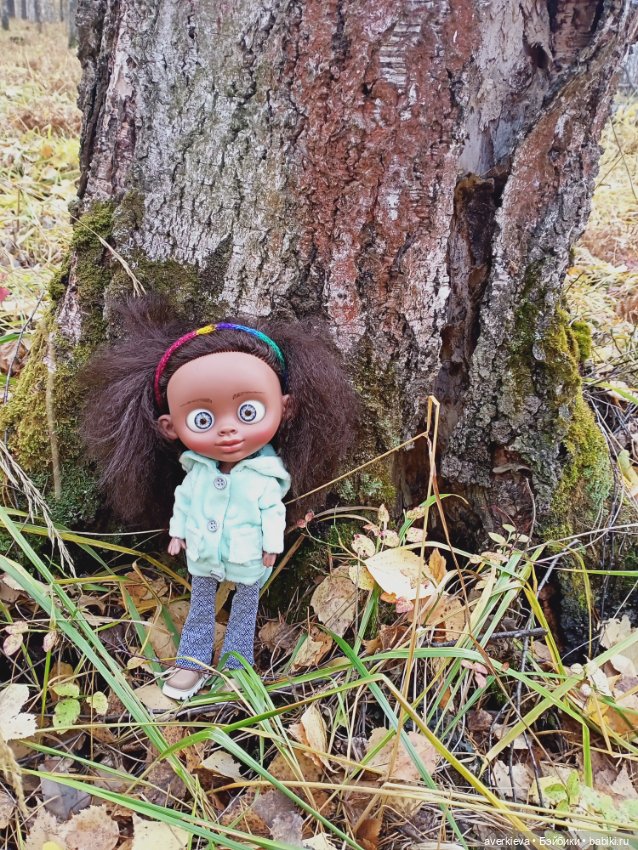 Уж небо осенью дышало — Игровые куклы разных производителей (Разное): редкие бренды (фото 6)
