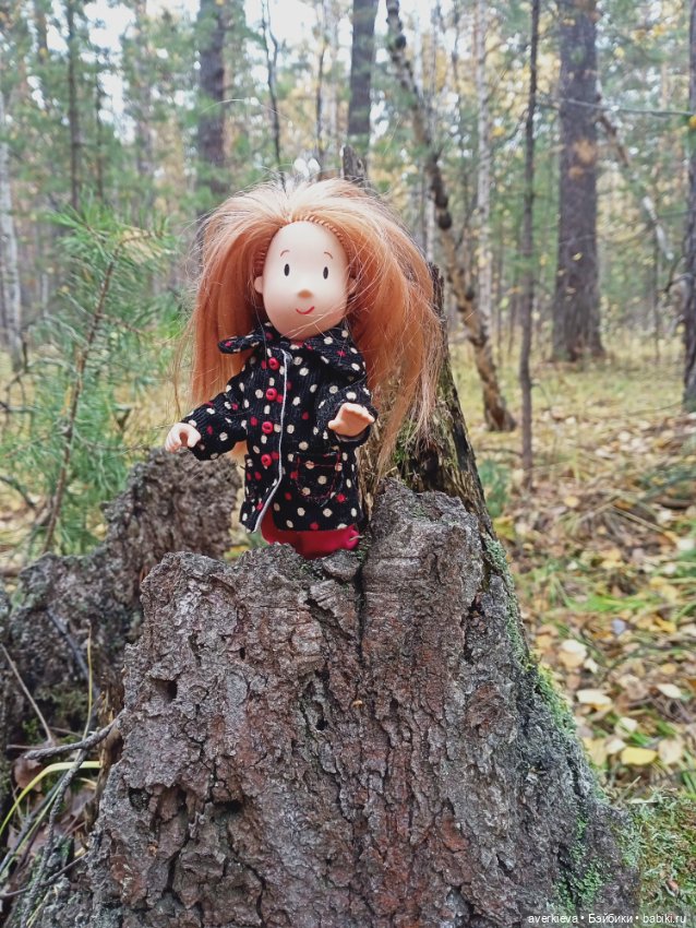 Уж небо осенью дышало — Игровые куклы разных производителей (Разное): редкие бренды