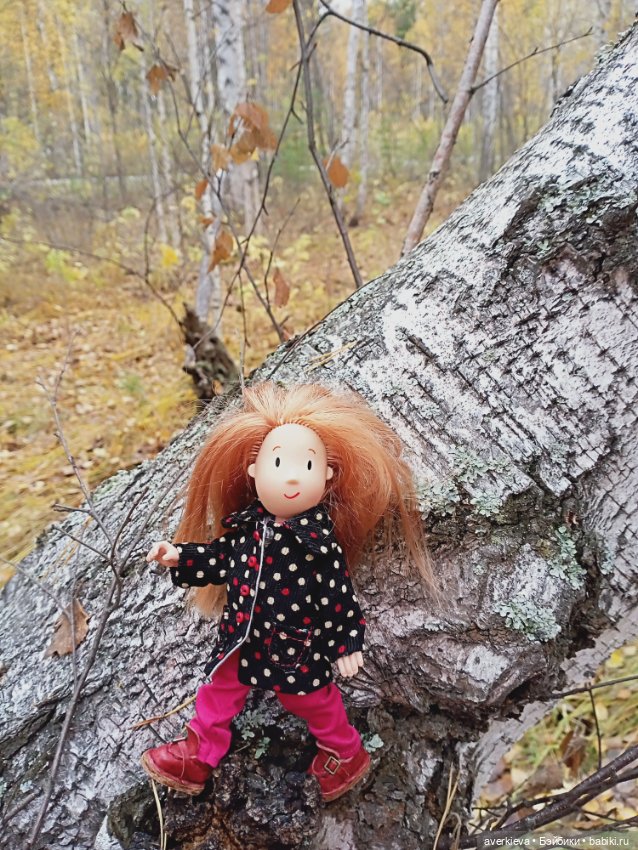 Уж небо осенью дышало — Игровые куклы разных производителей (Разное): редкие бренды
