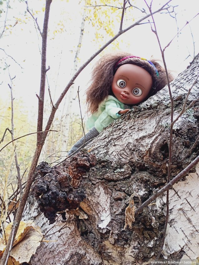 Уж небо осенью дышало — Игровые куклы разных производителей (Разное): редкие бренды