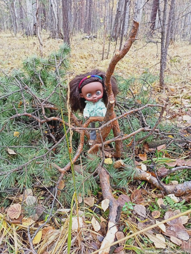 Уж небо осенью дышало — Игровые куклы разных производителей (Разное): редкие бренды