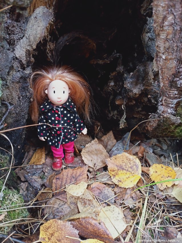Уж небо осенью дышало — Игровые куклы разных производителей (Разное): редкие бренды