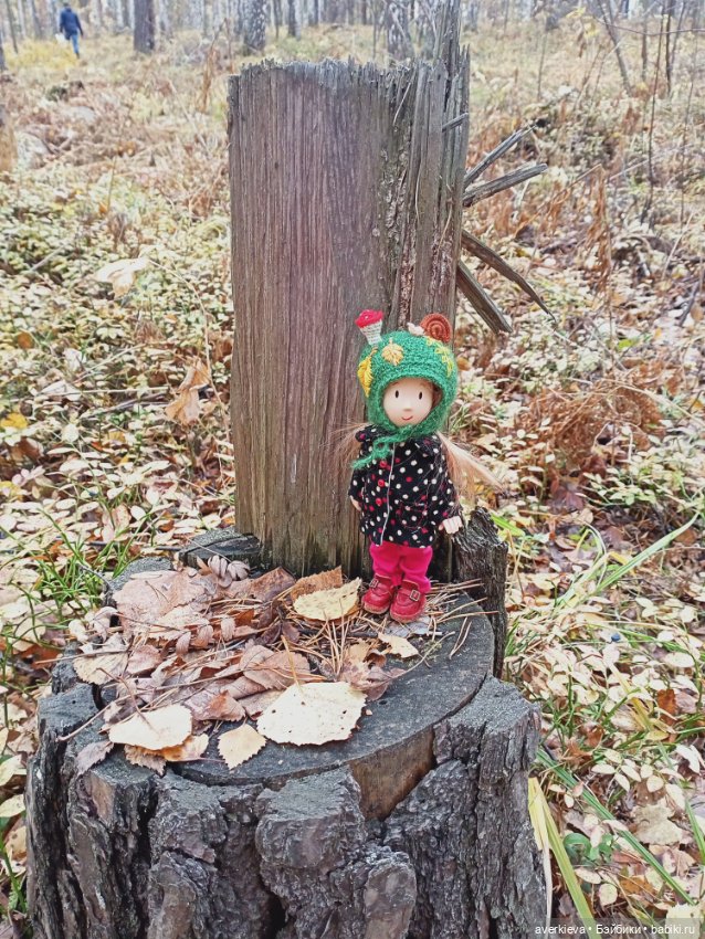 Уж небо осенью дышало — Игровые куклы разных производителей (Разное): редкие бренды (фото 10)