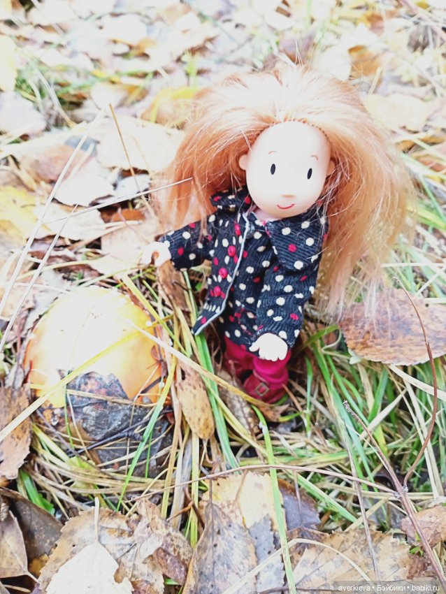 Уж небо осенью дышало — Игровые куклы разных производителей (Разное): редкие бренды