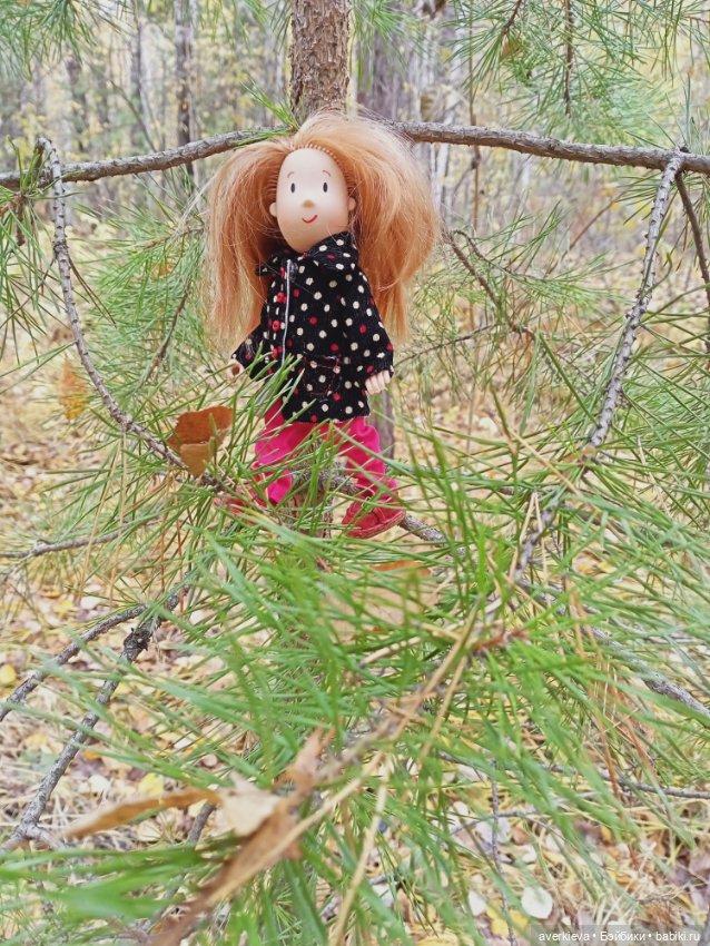 Уж небо осенью дышало — Игровые куклы разных производителей (Разное): редкие бренды