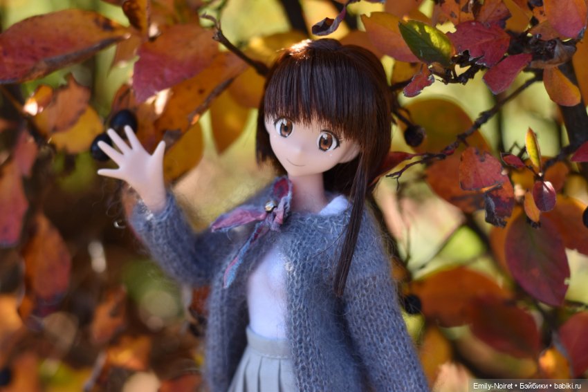 Косаки и солнечная теплая осень (фото 6)