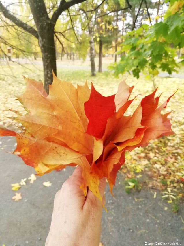 Осенняя девочка в осеннем парке (фото 4)