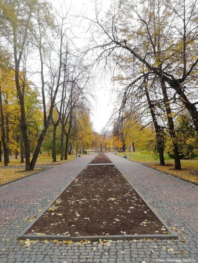 Осенняя девочка в осеннем парке (фото 3)