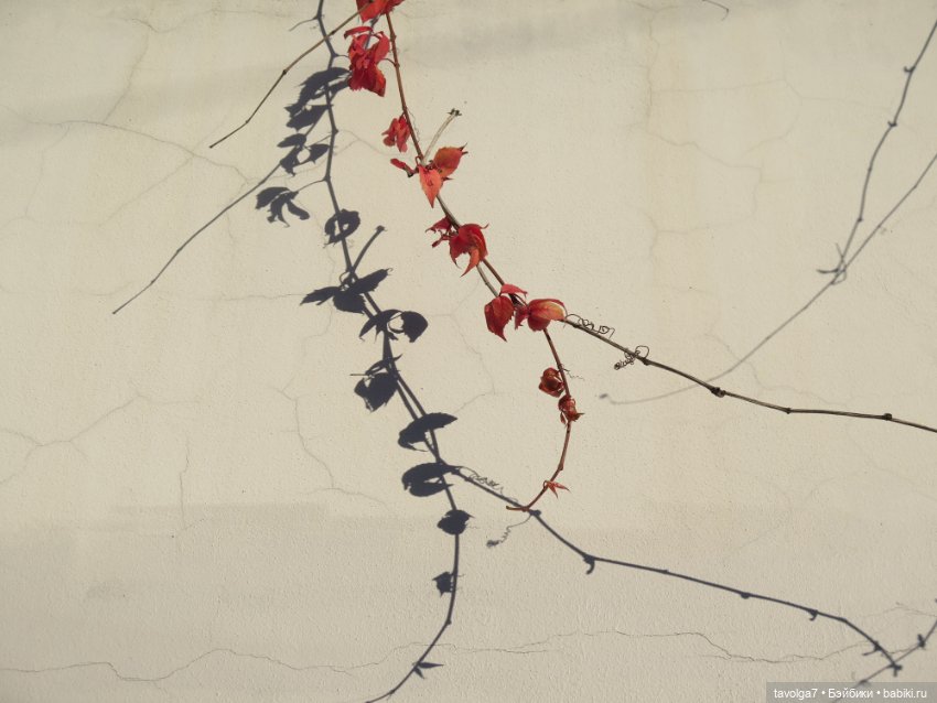 Флёр World of Love и солнечный день в октябре в Москве