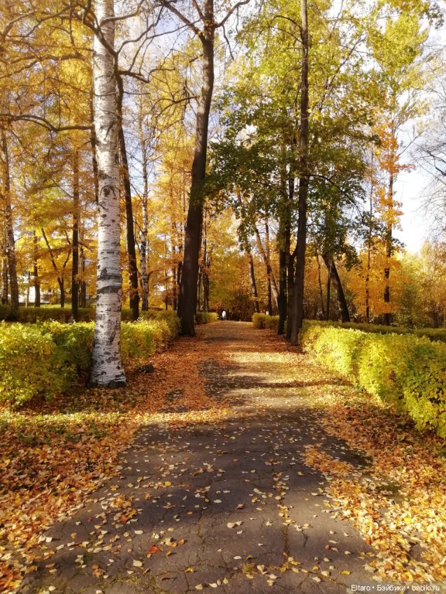 Осенняя девочка в осеннем парке