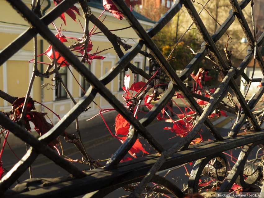 Флёр World of Love и солнечный день в октябре в Москве