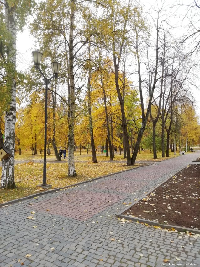 Осенняя девочка в осеннем парке (фото 2)