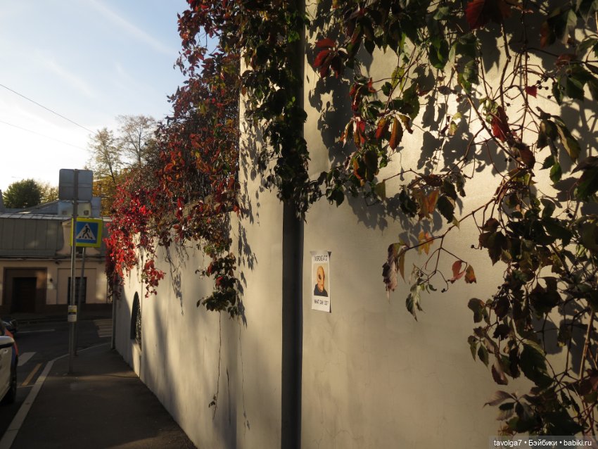 Флёр World of Love и солнечный день в октябре в Москве