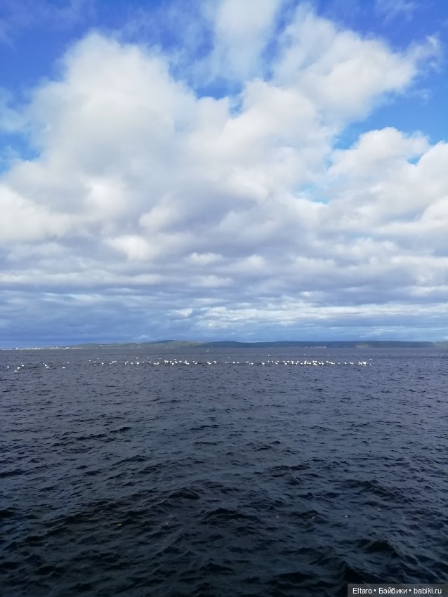 Осенняя девочка в осеннем парке