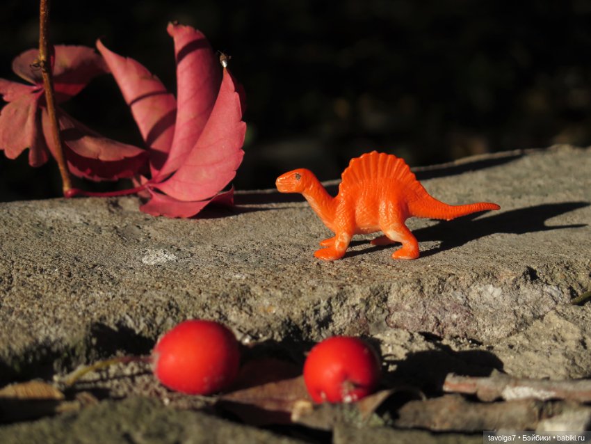 Флёр World of Love и солнечный день в октябре в Москве