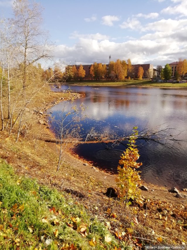 Осенняя девочка в осеннем парке