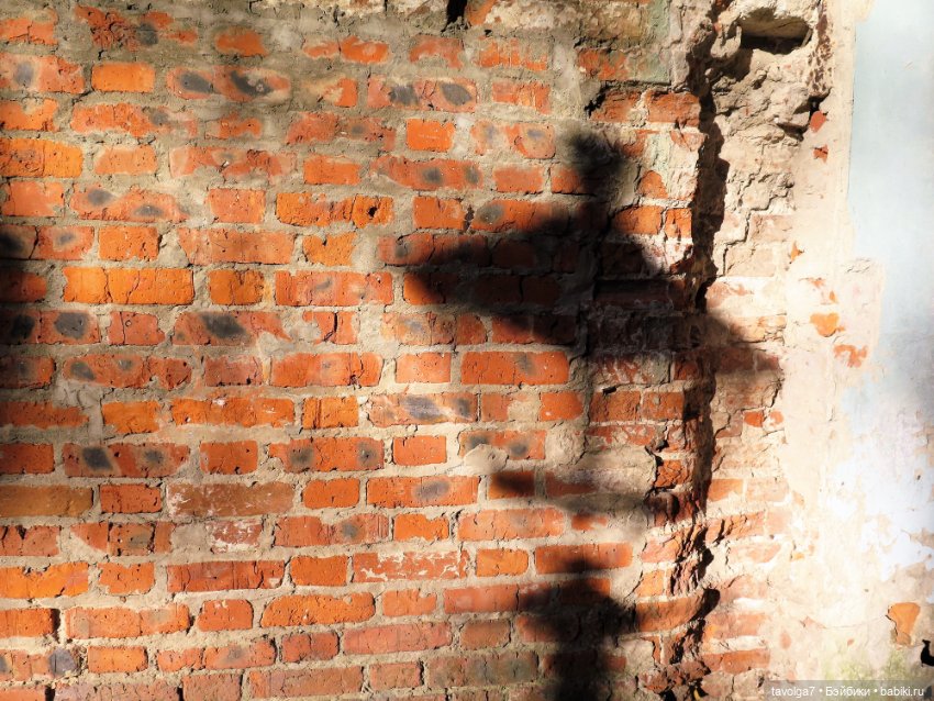 Флёр World of Love и солнечный день в октябре в Москве (фото 10)