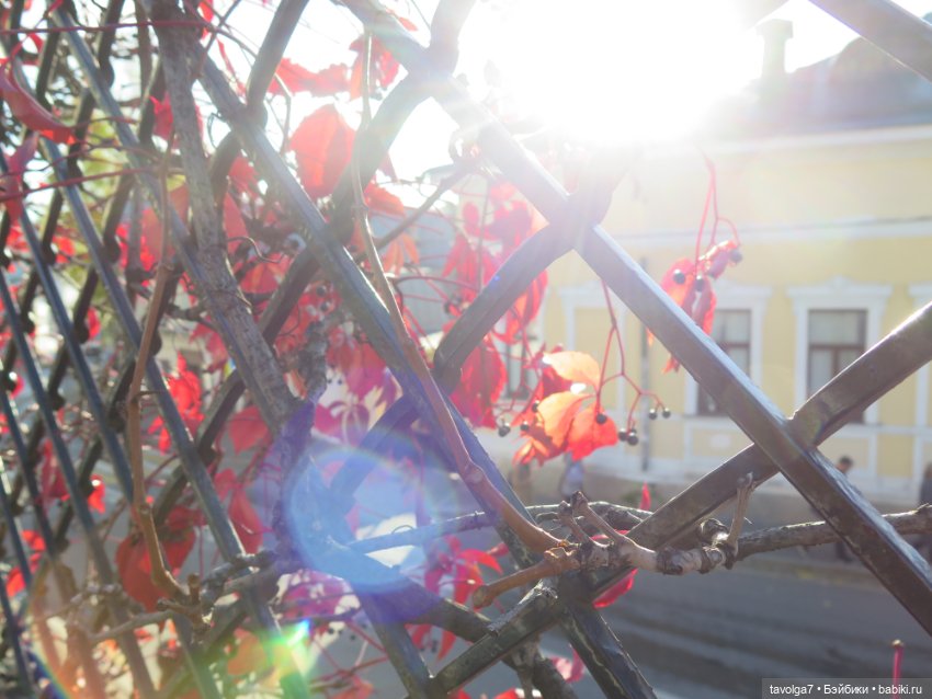 Флёр World of Love и солнечный день в октябре в Москве