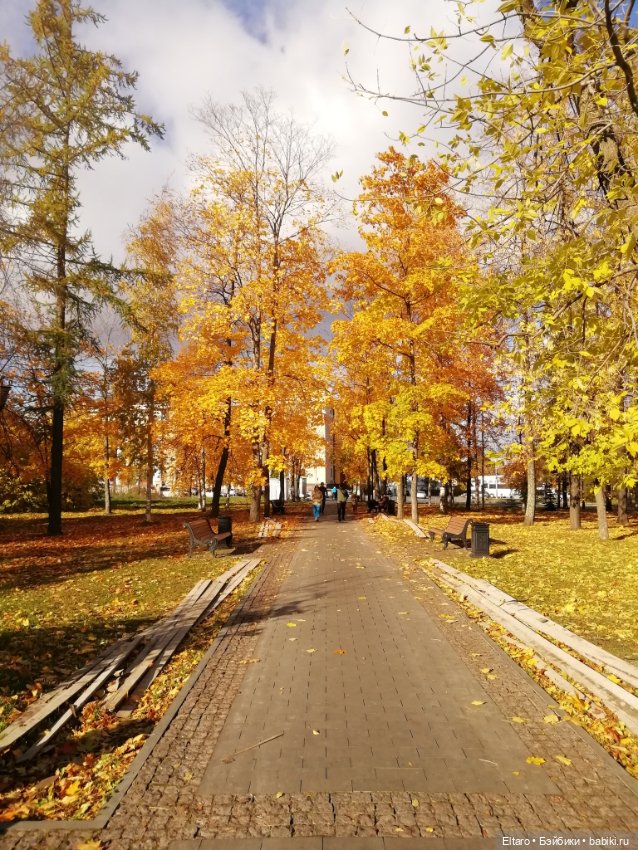 Осенняя девочка в осеннем парке