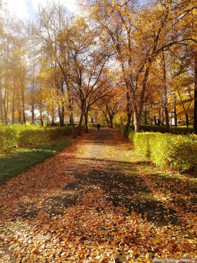 Осенняя девочка в осеннем парке