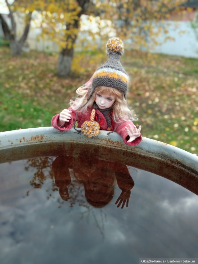 Осенний полдень.🍁🍄🍂🍃🍁🌞..Роза Dollshe Craft