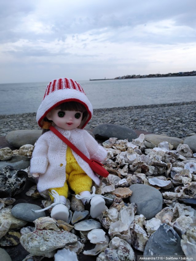 Светланка🌸 — Разные шарнирные куклы (не БЖД): редкие (фото 2)