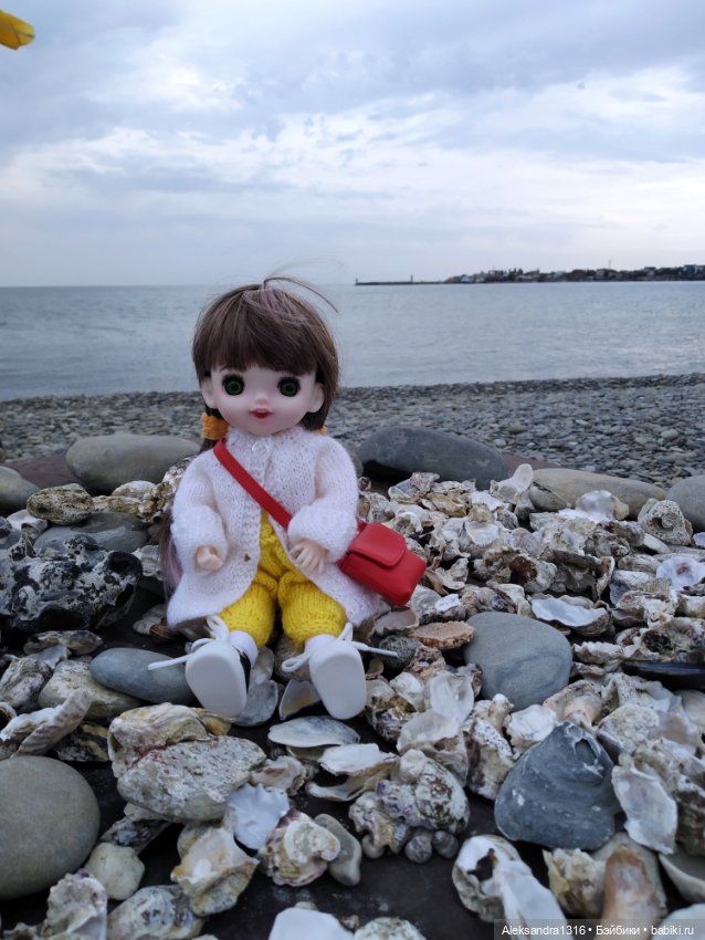 Светланка🌸 — Разные шарнирные куклы (не БЖД): редкие (фото 4)